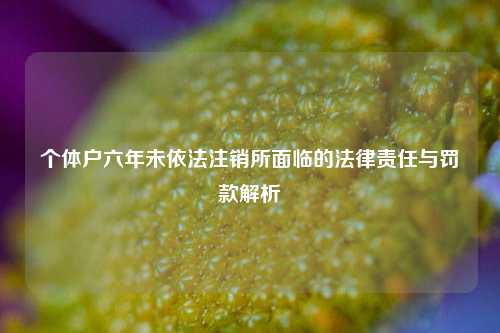 个体户六年未依法注销所面临的法律责任与罚款解析
