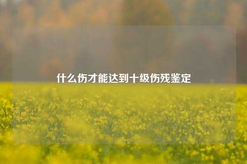 什么伤才能达到十级伤残鉴定