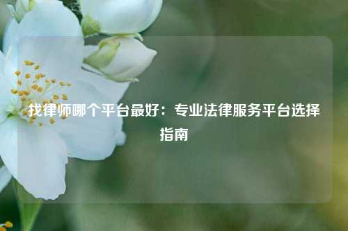 找律师哪个平台最好：专业法律服务平台选择指南