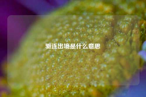 驱逐出境是什么意思