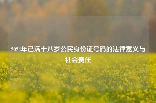 2024年已满十八岁公民身份证号码的法律意义与社会责任