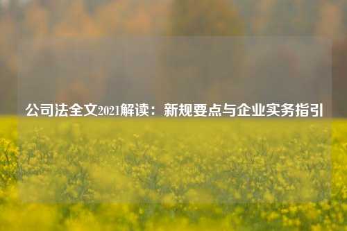 公司法全文2021解读：新规要点与企业实务指引