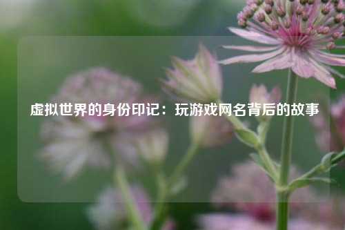  虚拟世界的身份印记：玩游戏网名背后的故事
