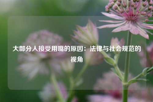 大部分人接受用嘴的原因：法律与社会规范的视角