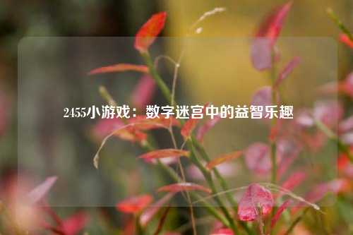  2455小游戏：数字迷宫中的益智乐趣