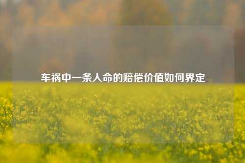车祸中一条人命的赔偿价值如何界定