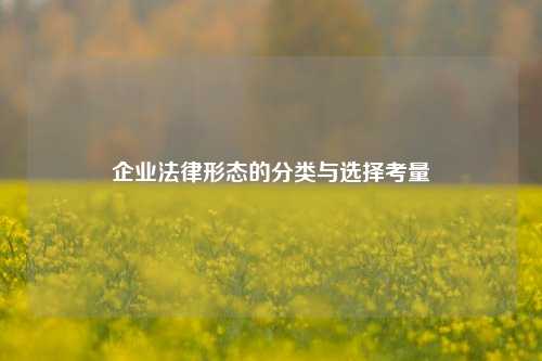 企业法律形态的分类与选择考量