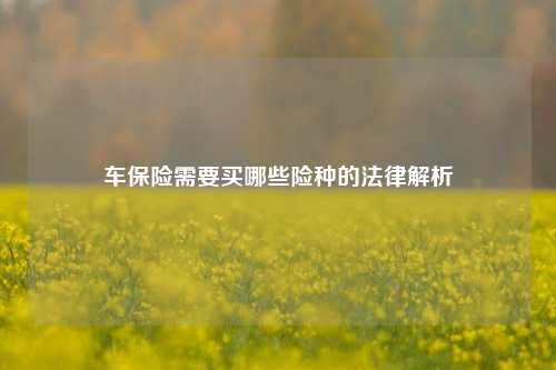 车保险需要买哪些险种的法律解析