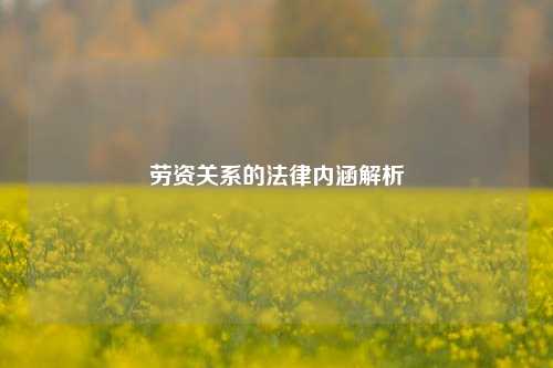 劳资关系的法律内涵解析