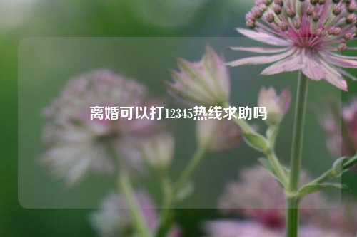 离婚可以打12345热线求助吗