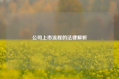 公司上市流程的法律解析